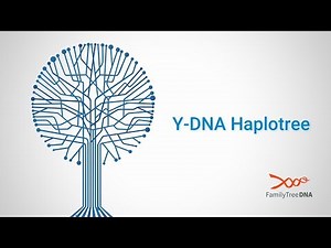 Y-DNA: How To Read the Y-DNA haplotree
