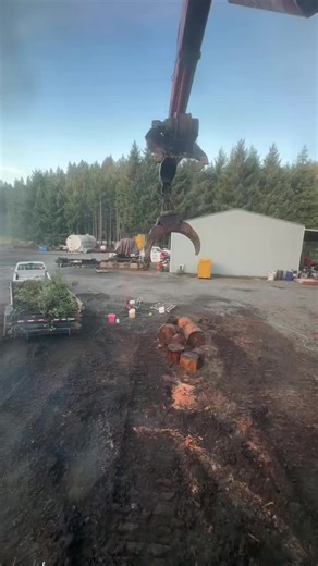 Efficient Firewood Processing with Link Belt Technology