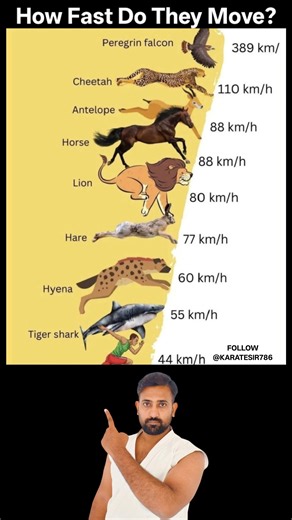 This image illustrates a comparison of the top speeds of various animals and a human: The fastest animal shown is the Peregrine Falcon, reaching a speed of 389 km/h. The Cheetah is a fast land animal with a top speed of 110 km/h. Antelopes and Horses are both listed with a top speed of 88 km/h. The slowest speed listed is 44 km/h, attributed to a human. | KARATE SIR