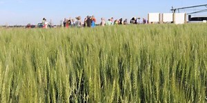 RealAg Radio: The value and the future of ag extension, June 4, 2024