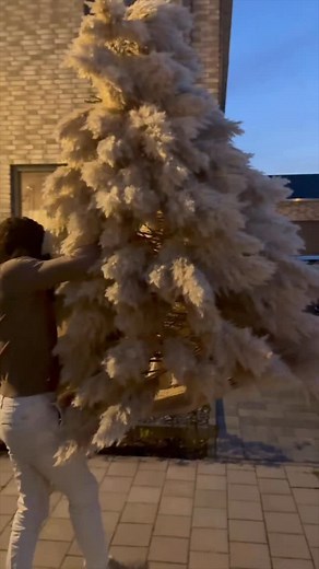 Another one…perfection for your christmas days. The pampas grass christmas tree is the ultimate luxury tree for christmas. And who else you trust tho do this for you better then PAMPASKONING himself 🌱🤴🏽 #pampasgrass #pampas #eventstyling #bohochic #interiordesign #interiorinspo #christmas #christmasdecor #christmasdecorations #christmasiscoming #christmastree | Pampaskoning