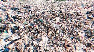2.7K views · 21 reactions | No Time to Waste: Joshua Seemungal & Seigonie Mohammed examine the environmental and public health, consequences of the waste management practices at the nation’s landfills. | CCN TV6: Trinidad and Tobago | Facebook