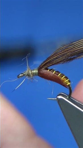 Caddis Pupa SHORT