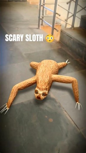 Part 26 | Sloth in School 😳🦥 #sloth #trendingshorts #wolfdance #ytshorts #viralshorts #shortvideo