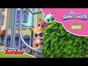 🔍 Super întrebări! | Super Pisicuțele | Disney Junior România