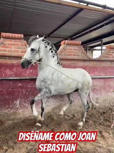 Design me, Joan Sebastian