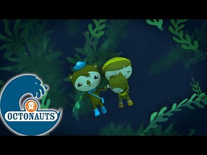 Octonauts - Shellington flotte à l'extérieur | Dessins animés pour enfants
