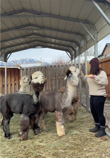 Sustainable Gifts for Nature Lovers: PAKA's Cozy Essentials