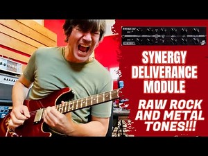 SYNERGY DELIVERANCE PREAMP MODULE Raw Rock and Metal Tones!