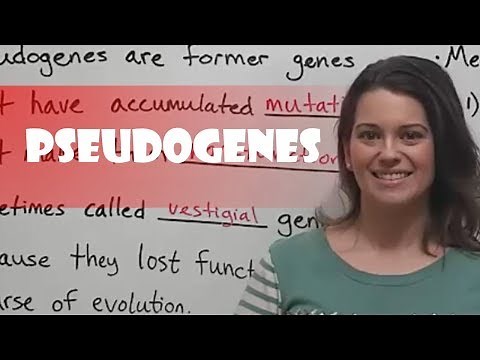 Pseudogenes