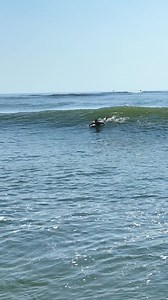 322K views · 1.7K reactions | Pit stop at the shark pit 麗 #surfing #newsmyrna #barrel #videooftheday | NPI Productions | Facebook