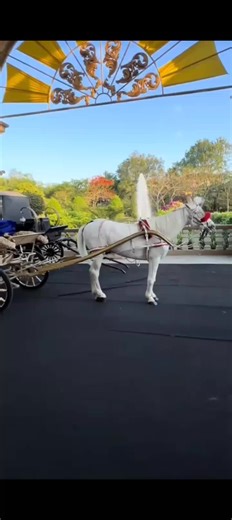 Sofia Smith on TikTok