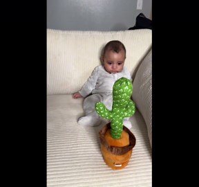 Viral dancing cactus toy interrupts baby’s tantrum as he becomes intrigued by its funny movements