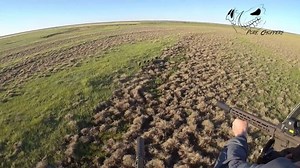 Nothing crazy here... just a minute of a bunch of pigs having a bad day! | Pork Choppers Aviation - The Best Helicopter Hog Hunting Outfitter
