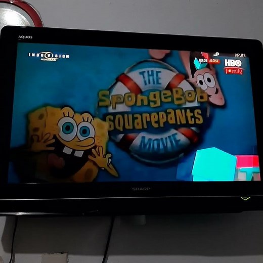 Aloha (2015) - HBO Family Intro