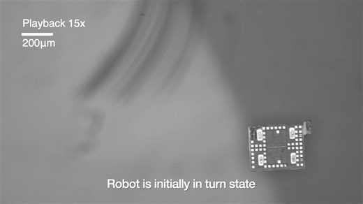 Scientists have developed programmable microrobots, each the size of a single-cell organism, which can use onboard systems to self-propel, sense temperatures, and change behaviors autonomously. Learn more in #ScienceRobotics: https://scim.ag/4iRbT8x | Science