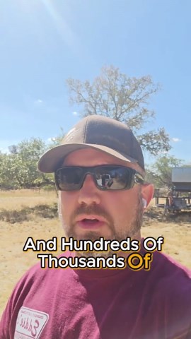 Texas Open Range, Open range in Texas for cattle