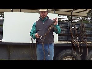 A Bit About Bits- Bit Basics and Snaffles