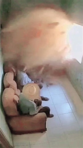 FRANCISCAAAAA OLHA ISSO 😂🐄 #shorts #memes #trending #viral