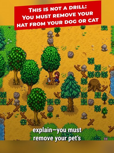 How to Remove Hats from Pets in Stardew Valley