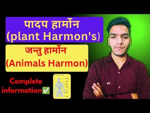 Plant Cell and Animal Cell | Difference Between Plant Cell & Animal Cell | Class 9–12 Biology
