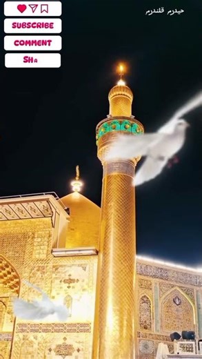 Ali Maula Ali Dum Dum | Shorts | #imamhussain #yaali #islamichistory #islamicshorts