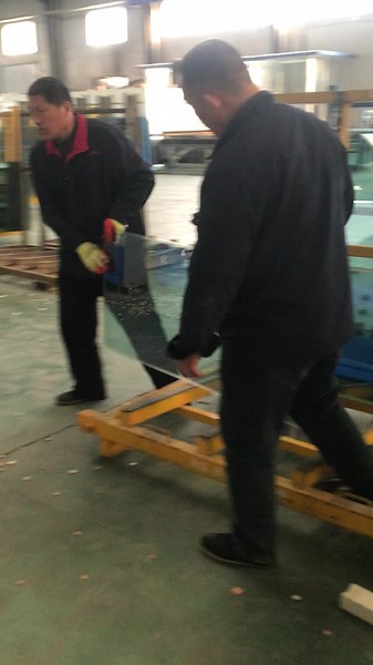 New Line- Taylor on TikTok