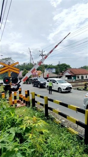 Car Rushes Past Railway Barrier Seconds Before Train