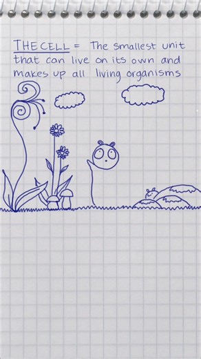 Biology 🧪 #sketch #doodle