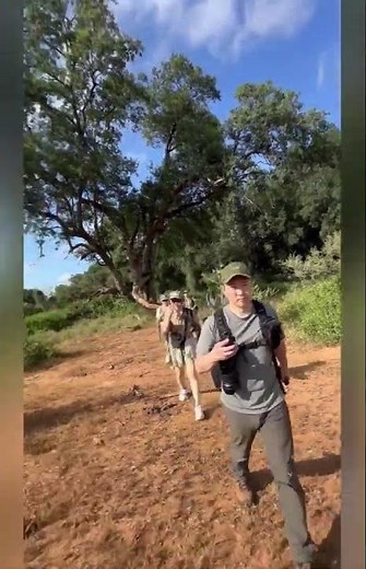 南アフリカ公認の日本人サファリガイド太田ゆかの生態を、ツアー参加者が語ります。詳しくはYUKAonSAFARI Podcast 69話で！ #日本人サファリガイド #shorts #アフリカ #動物