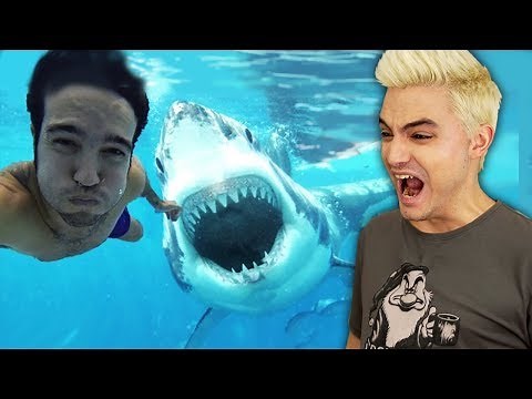 10 ATAQUES DE TUBARÃO QUE FORAM FILMADOS! [+10]