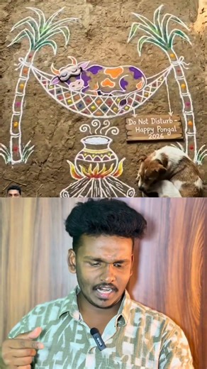 Village Style Maattu Pongal Kolam ✨ Traditional Design #shorts #kolangal #reactionshorts