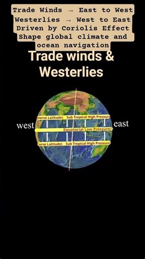 How Trade Winds & Westerlies Move | Animated Geography Short | Global Wind System| Shorts