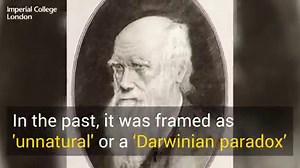 Our researchers are using a new approach to understand why same-sex behaviour is so common across the animal kingdom. Watch the video and read our feature-length dive into this fascinating topic: http://ow.ly/T9fI30oBkZF | Imperial College London