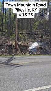 302K views · 1.5K reactions | A tree has fallen on Town Mountain Road in Pikeville causing a live power line to snap and ignite part of the hillside. First responders are on the scene now to assess the situation and clean up. #MountainTopNews #pikevilleky | Mountain Top News | Facebook