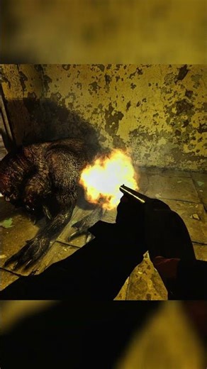 S.T.A.L.K.E.R Anomaly Custom #gameplay #stalker #stalkeranomaly #stalker2 #gamma