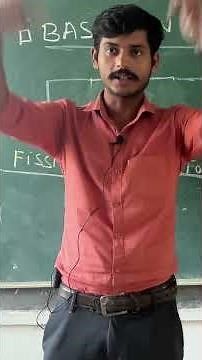 Spore Formation in Bacteria 🦠