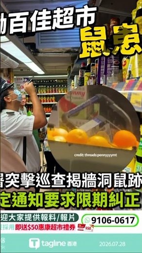 紅磡百佳超市鼠患｜食環署突擊巡查揭牆洞鼠跡