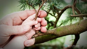 801K views · 351 reactions | To celebrate World Photography Day...