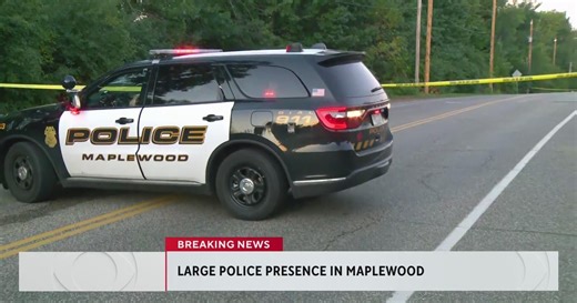 Police investigating an early morning Maplewood crash
