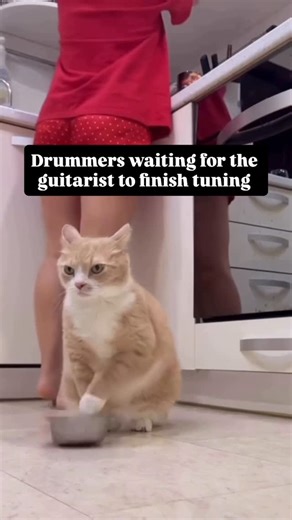 Evan Rhoda | Drummer 🥁 | Jk I love you guitarists 😘 . . . #drummer #drums #drumming #drummers #drummersofinstagram | Instagram