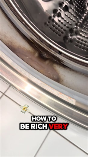 How to Remove Mold from Washing Machine Gasket — Easy Steps