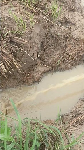 Smart Village Idea 💡 | Homemade Water Pump Innovation 🌊