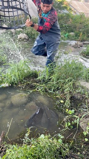 hummer using basket 🌊🌊🌊🌊 | Kuys TV