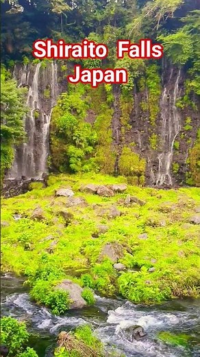 Shiraito Falls Japan | Majestic Waterfall & Nature Walk. #travel #explore #japan