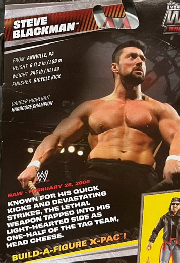 “Steve the Blackman” is an American martial arts instructor and former professional wrestler. He is best known for his appearances with the World Wrestling Federation (WWF, now WWE) from 1997 to 2002, where he was a frequent challenger for the promotion's mid-card titles. He held the WWF Hardcore Championship six times and holds the record for most combined days as champion, a total of 172 days. #wwe #wwefigures