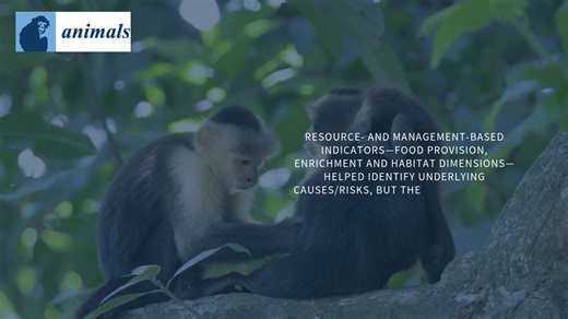 All articles in Animals (ISSN 2076-2615) Vol 15, Issue 17, are now freely available to access, read and download: https://brnw.ch/21wWnS3 COVER STORY: Wildlife rescue centres house diverse species, complicating maintenance of consistent welfare standards. The white-fronted capuchin (Cebus albifrons) was used as a model, yielding two welfare assessment protocols: a daily monitoring checklist and comprehensive audit tool. The Delphi technique was applied by a group of international researchers in 