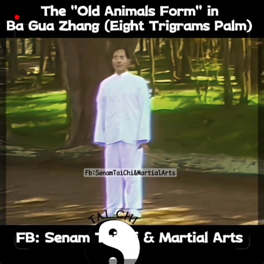 ☯️🌀Master George Xu demonstrates of Old Eight Animals Bagua Zhang Form🌀☯️ The "Old Animals form" (Ba Shou 八手) in Ba Gua Zhang (Eight Trigrams Palm) refers to the core set of eight foundational palm changes, each associated with an animal (Lion, Monkey, Rooster, Dragon, Phoenix, Snake, Bear, Qilin/Unicorn) and an / Ching trigram, that train fundamental body mechanics, intention (Yi), and spiraling energy through circular walking, with variations in hand shapes and body movements to express diff