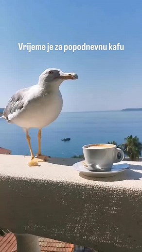 1.9K views · 373 reactions | TravelMontenegro.me on Reels | Facebook