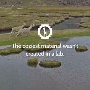 It's getting chilly out there, which means it's time to update your wardrobe with a cozy alpaca fiber sweater 🦙 Made for all your winter adventures -- from hitting the slopes to cuddling up by the fire. | PAKA